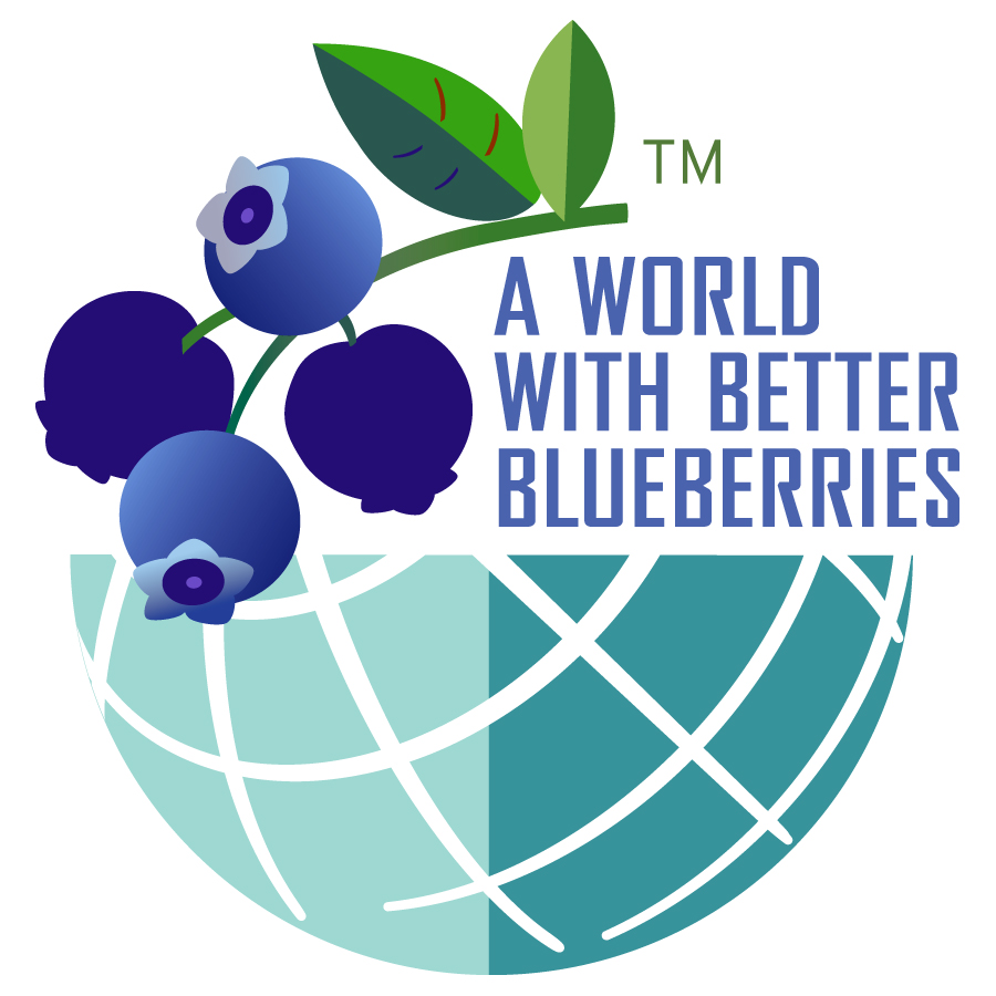 World With Better Blueberries
